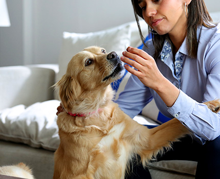 Women feeding dog