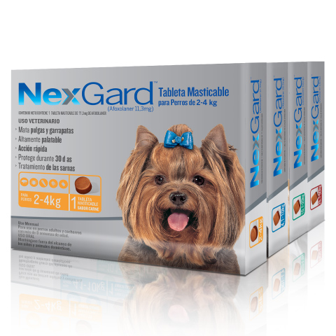 nexgard perros