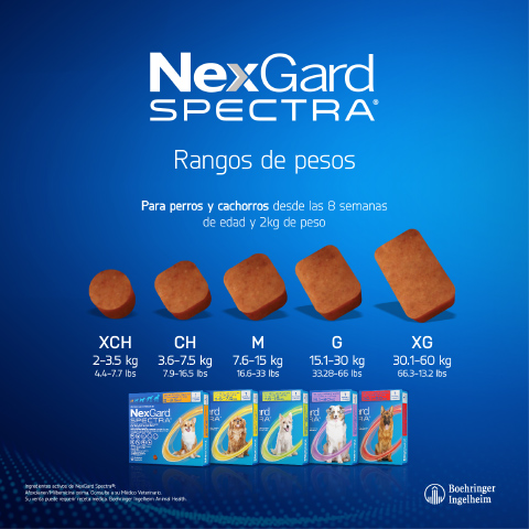 nexgard spectra