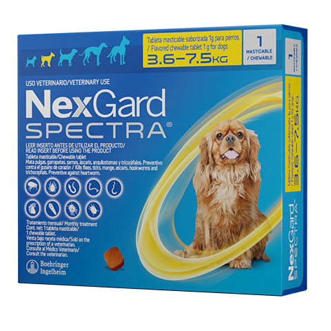 nexgard spectra s perros