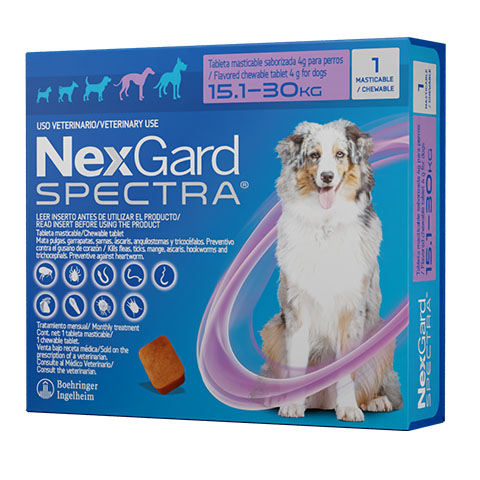 nexgard spectra l perros