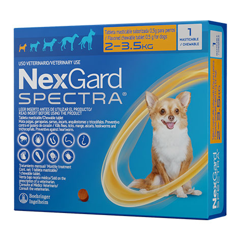 nexgard spectra xs perros