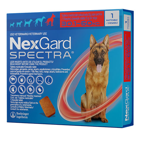 nexgard spectra xl perros